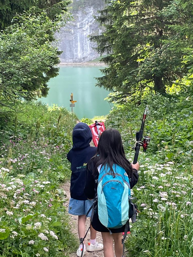 スイスサマースクール　相談